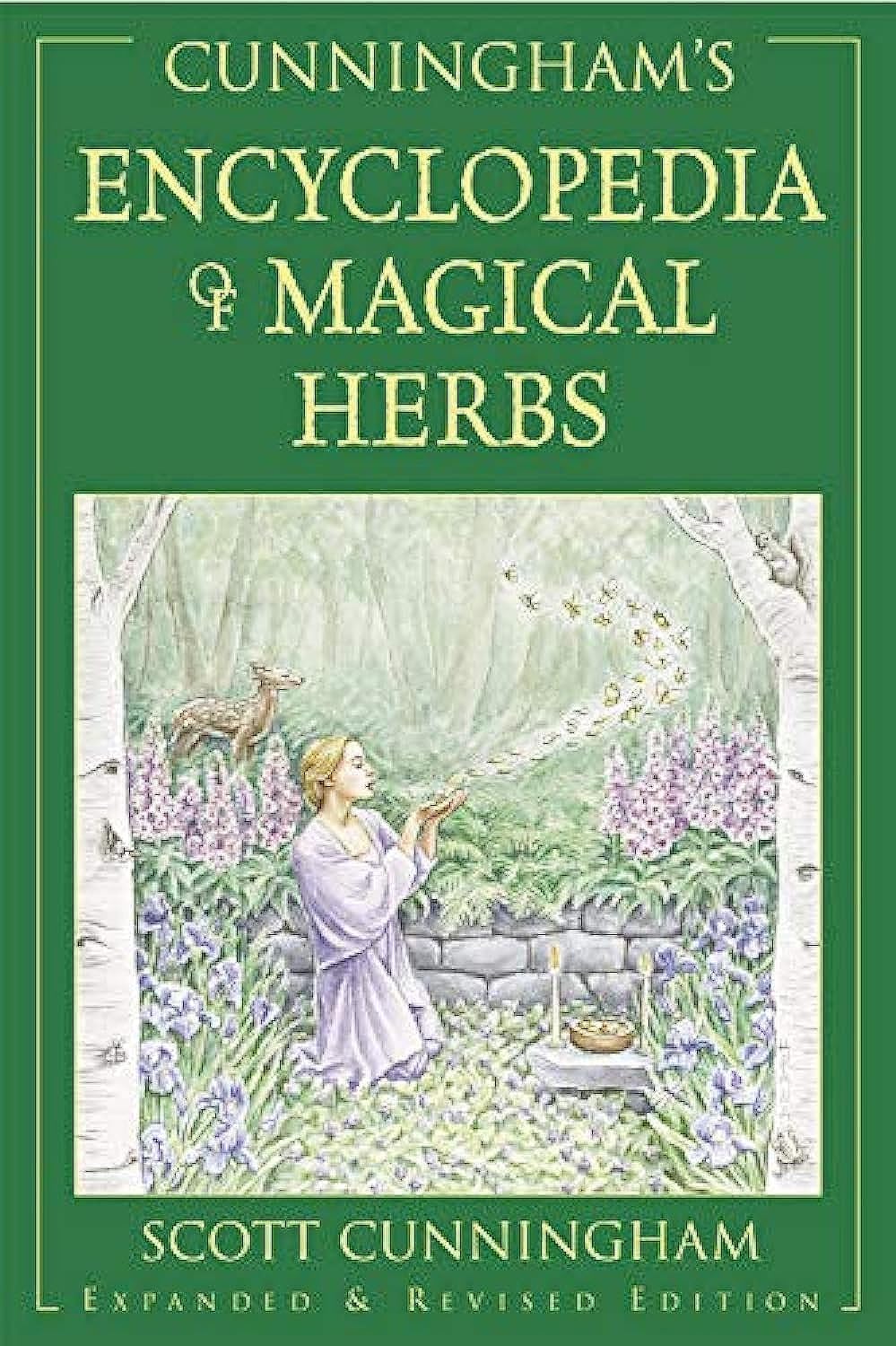 Magical Herbs for Beginners: What's Safe, What's Not, and What to Actually Buy